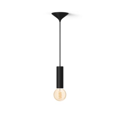 Nahaufnahme der Vorderseite von Set: Schwarze Kordel Medium + White Ambiance Filament G93 Globe