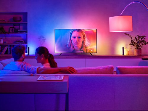 PIAOLGYI Stand for Philips Hue Play Bar with Screw,Holder for Philips Hue  Play White & Color Smart Light(Black)