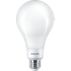 LED Bulb