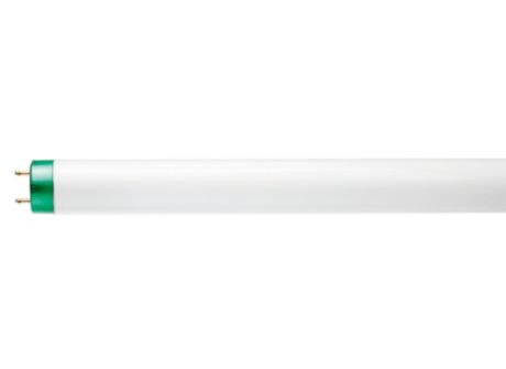 F25T8/TL841/PLUS/ALTO  30PK