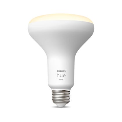 main.alt.text.RTP.BR30 - E26 smart bulb