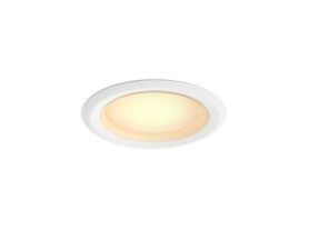 Downlight 4 inch