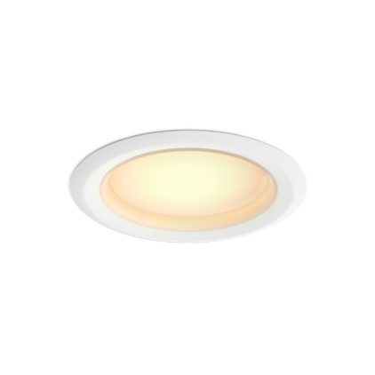 main.alt.text.RTP.Downlight 4 inch