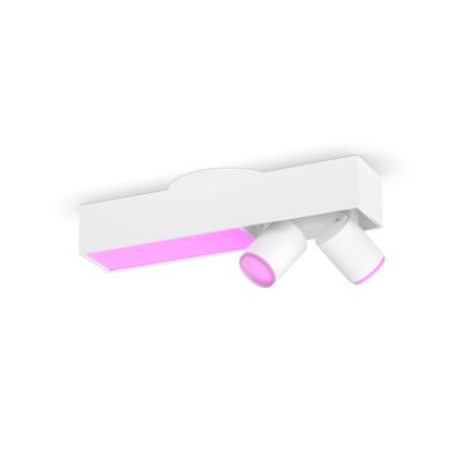 main.alt.text.RTP.Centris 2-spot ceiling light