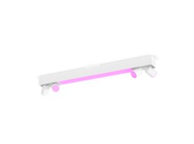 Centris 4-spot ceiling light