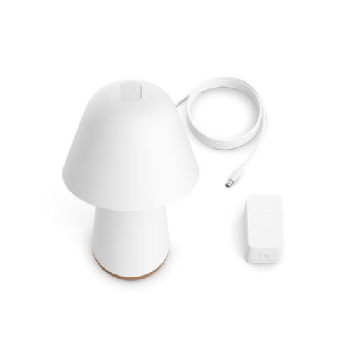 Sleep and wake-up light Twilight sleep and wake-up light white