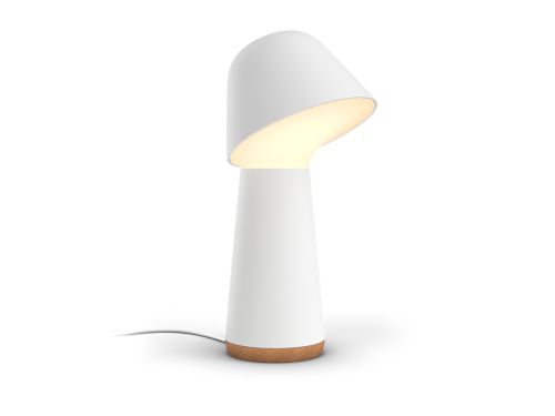Sleep and wake-up light Twilight sleep and wake-up light white