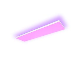 Datura Ceiling Light