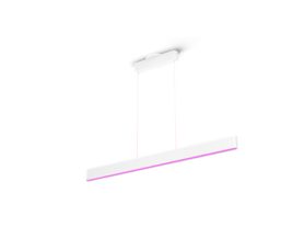 Ensis pendant light