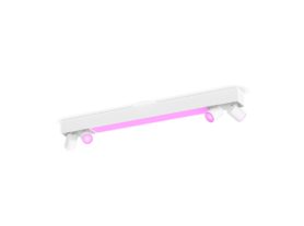 Centris 4-spot ceiling light