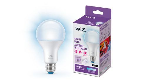 FOCO MODERNO Foco 100 W A21 E26