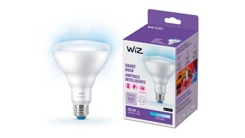 FOCO MODERNO Reflector 65 W BR30 E26