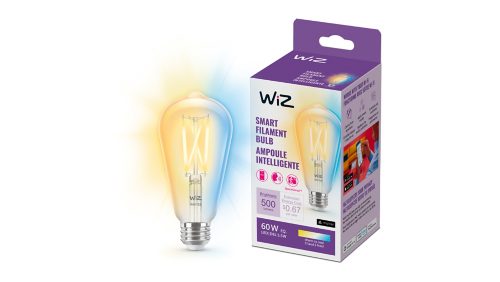 FILAMENT BULB Filament Bulb Clear 60W ST19 E26