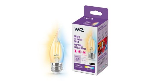 LÁMPARA DE FILAMENTO Foco de filamento transparente de 40 W BA11 E26