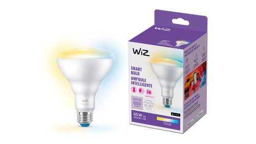 Reflector 65W BR30 E26