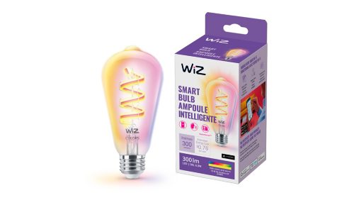 FILAMENT BULB Filament Globe Clear 25W ST19 E26