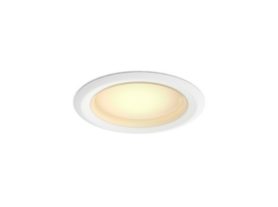 Downlight 4 inch