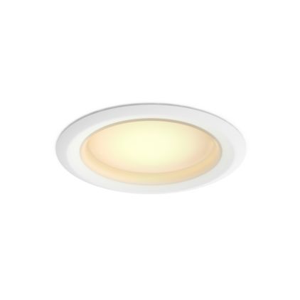 main.alt.text.RTP.Downlight 4 inch