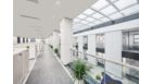 Office application with CoreLine downlight