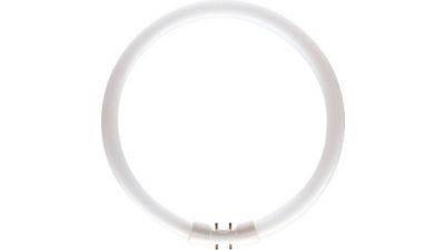 Master T5 Circular fluorescent