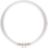 22 W Cool white Circular fluorescent