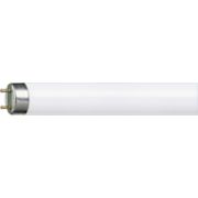 TL-D Super 80 Linear fluorescent tube