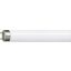 36 W G13 Cool white Linear fluorescent tube