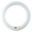 22 W G10q Cool daylight Circular fluorescent