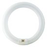 40 W G10q Cool daylight Circular fluorescent