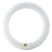 TL-E Super 80 Circular fluorescent