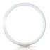 Master T5 Circular fluorescent