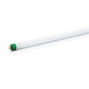 Tube fluorescent