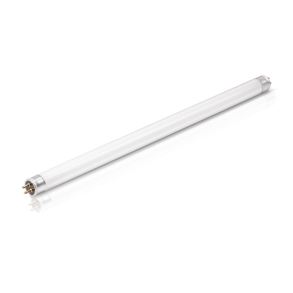 F8T5/COOL WHITE PLUS/12