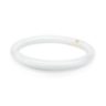 32W T9 Cool White Circline Fluorescent