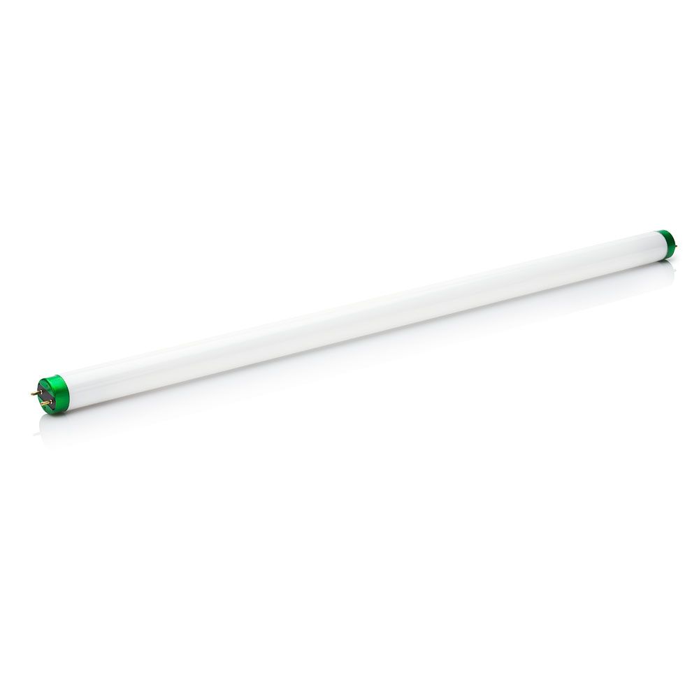 15W T8 Cool White Tubular Fluorescent 928022803328 Philips lighting