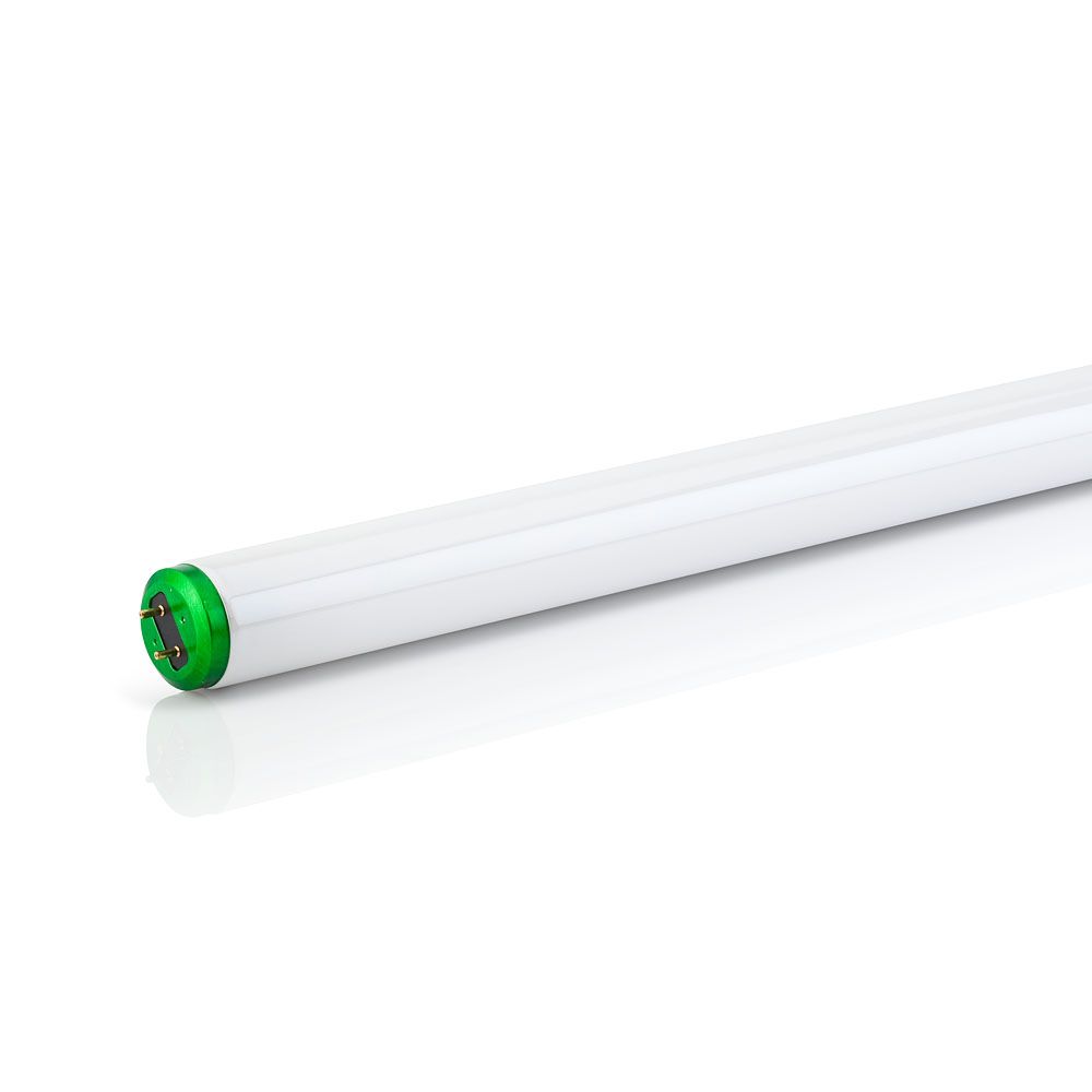 F30T12/SOFTWHITE/36 ALTO 6PK