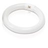 22W T9 Bright White Circline Fluorescent