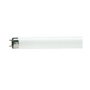 TL-D Standard colours Linear fluorescent tube