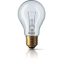 60 W E27 cap Low voltage Clear Incandescent bulb