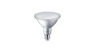 MASTER VALUE LEDspot PAR