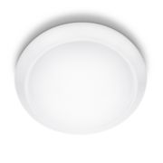 Ceiling Lights Cinnabar Ceiling Light 17 W