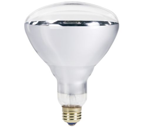 Philips red r40 incandescent heat light bulb 415836 hotsell