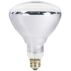 Heat Lamp
