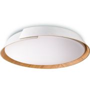 myLiving Ceiling light