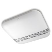 Functional Ceiling light