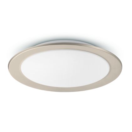 An image of product of the Muscari ceiling light