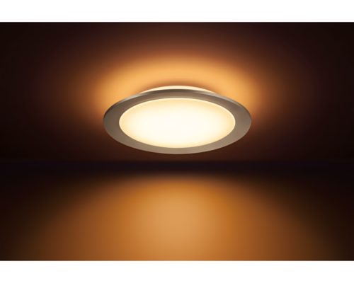 Hue Muscari Ceiling Light Dimmer Switch Champagne Philips Hue IN