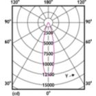 Light Distribution Diagram