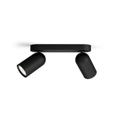 An image of product of the Pongee plafond-/wandspot, 2x