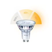 PHILIPS LED Spot